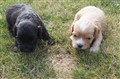 DSC00319.JPG