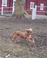 DSC04876.JPG