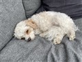 IMG_0224.jpeg