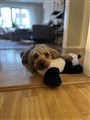 IMG_0418.jpeg