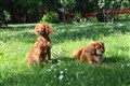 IMG_1608 (1).jpeg