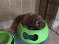 IMG_1613.jpeg