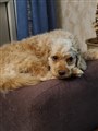 IMG_2750.jpeg