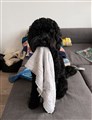 IMG_3007.jpeg