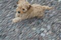IMG_4088.jpeg