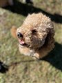 IMG_8727 2.JPEG