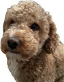 Motiv 2.PNG
